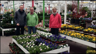 Gärtner Pötschke Todesfall